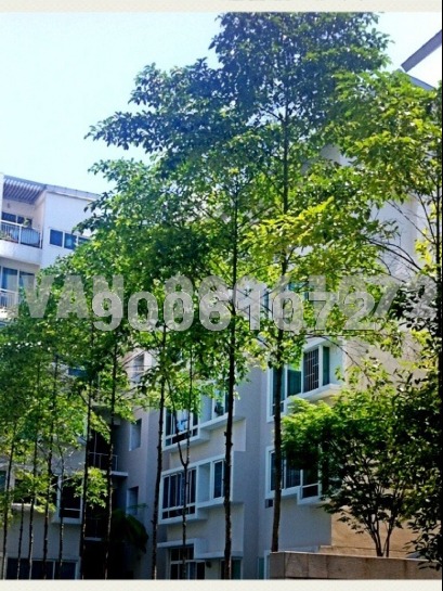Le Reve (D14), Condominium #450552